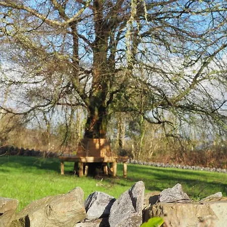 Apartament The At Burkedale House Corofin (Clare)